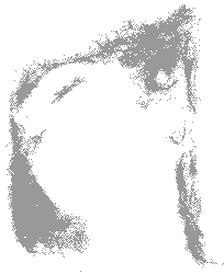 Portrait de l'artiste